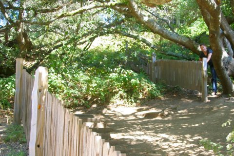Point Reyes hek